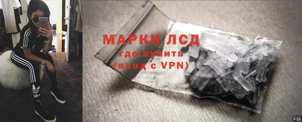 прущие грибы Арсеньев