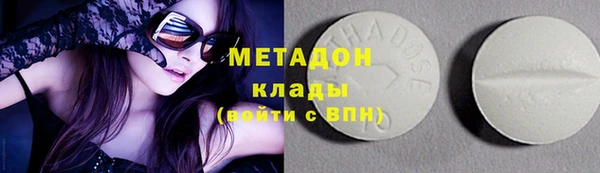 прущие грибы Арсеньев