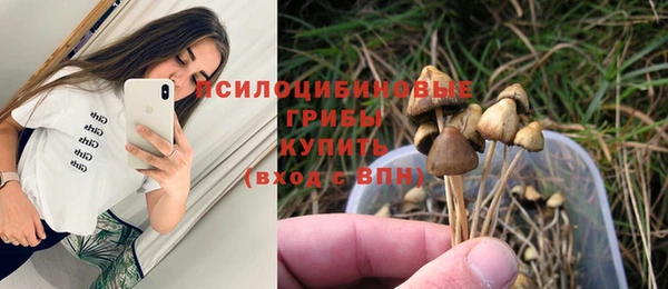 твердый Армянск