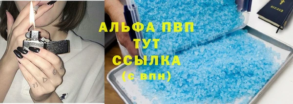 прущие грибы Арсеньев