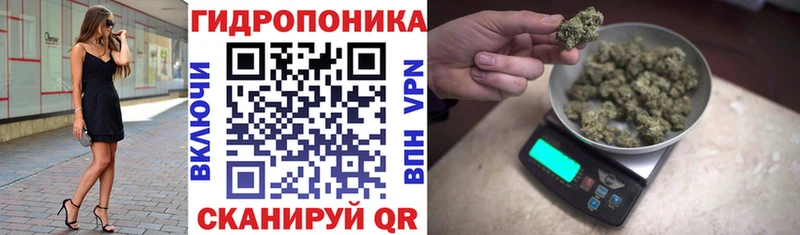Бошки марихуана семена  дарк нет телеграм  Олонец  где купить наркотик 